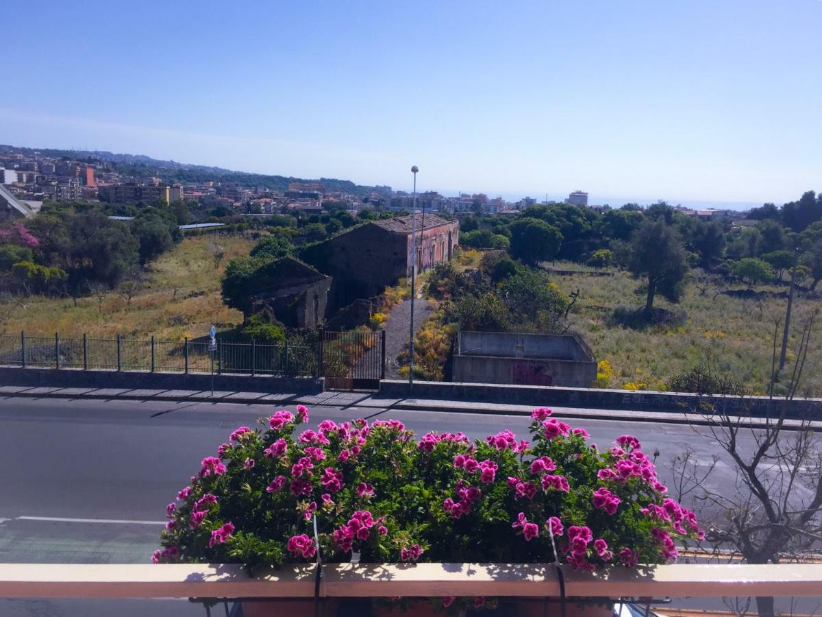 B&B Policlinico Gaspare Rodolico Catania Bagian luar foto